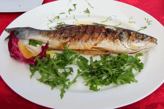 Pizzeria Trattoria Alle Lanterine